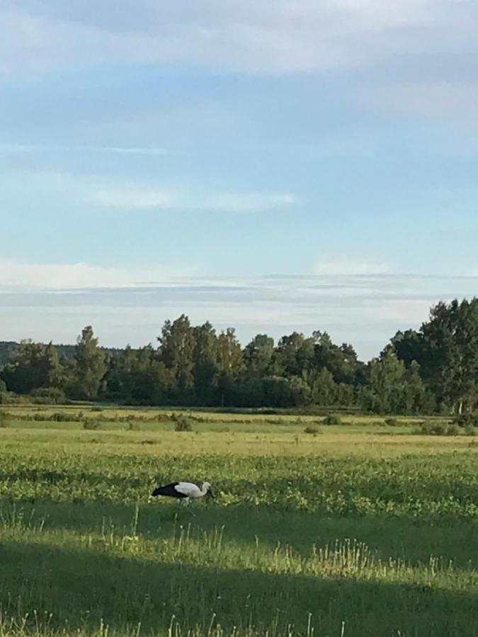 Dzika Plaza Wierzchucino Kültér fotó